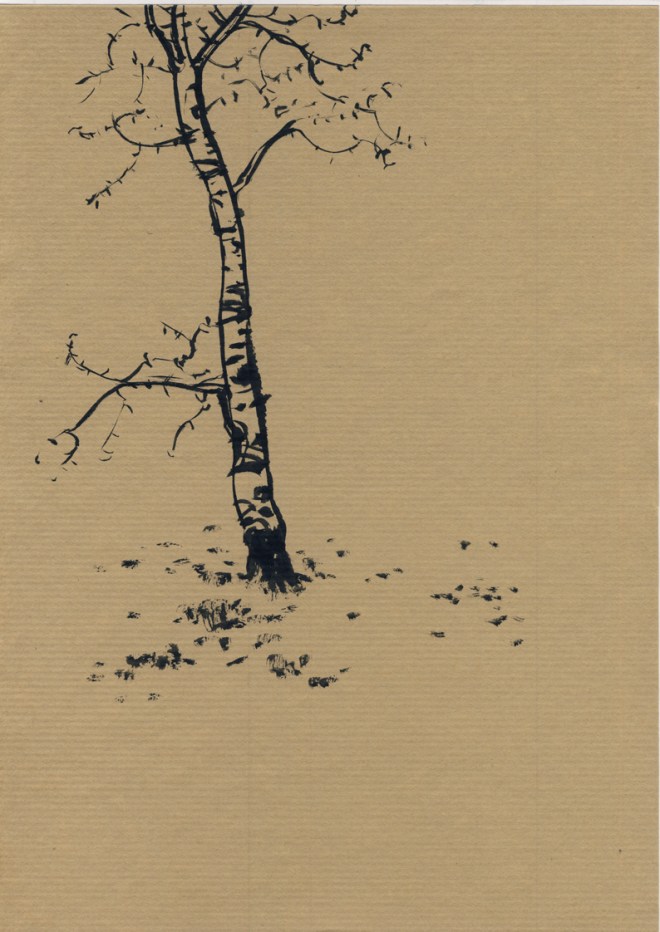 copyright 2016 Frederic Rekai