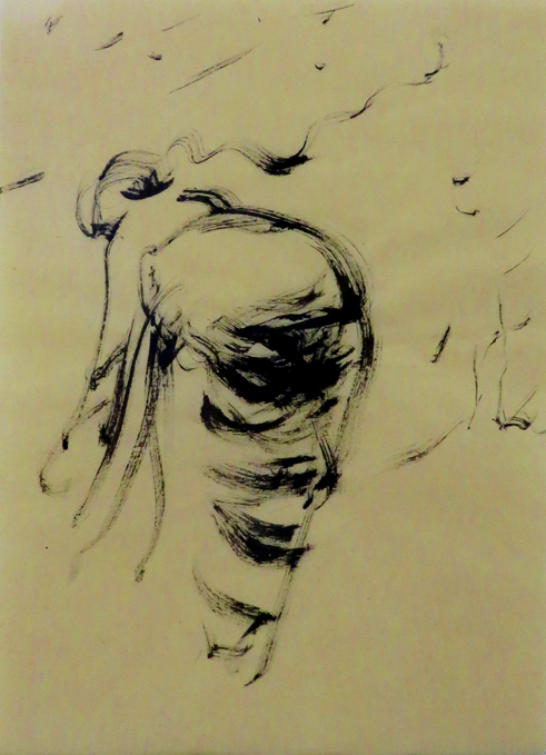 copyright 2016 Frederic Rekai