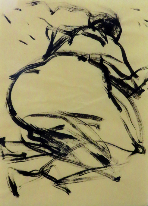 copyright 2016 Frederic Rekai