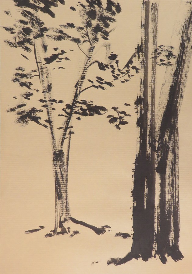 copyright 2016 Frederic Rekai