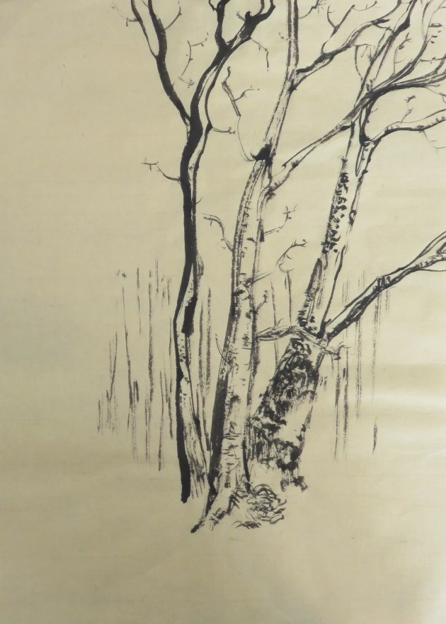 copyright 2016 Frederic Rekai